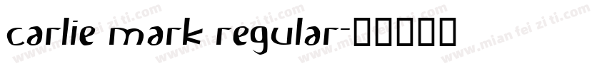 Carlie Mark Regular字体转换